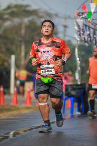 BIB: 47416
                            <button type="button" onclick="openModal(9787836)" class="btn btn-primary btn-sm float-right btn-popup" data-toggle="modal" data-target=".modal-high-quality">
                        <i class="fas fa-shopping-cart"></i> Add to Cart
                    </button>
                                            <button type="button" onclick="isThisMe(9787836, true)" class="btn btn-success btn-sm float-right btn-popup btn-isme hidden" data-toggle="tooltip" data-placement="bottom" title="นี่คือรูปของคุณใช่ไหม คลิกที่นี่เพื่อเอาเข้าอัลบั้ม">
                        <i class="fas fa-plus"></i> Add to album
                    </button>
                    <button type="button" onclick="isThisMe(9787836, false)" class="btn btn-warning btn-sm float-right btn-popup btn-isnotme hidden">
                        <i class="fas fa-ban"></i> Remove from album
                    </button>